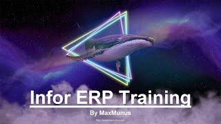 INFOR ERP Training – INFOR ERP Online Training – (INFOR ERP Certification Tips)– INFOR ERP Course