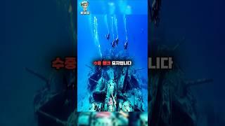 탱크를 바다에 버리는 이유