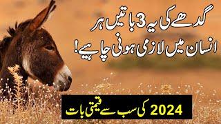 learn three lesson from donkey | Gadhay ki 3 khsosiyat jo hr insan main honi chye