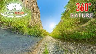 Immerse Yourself in Nature: A VR 360° River Walk