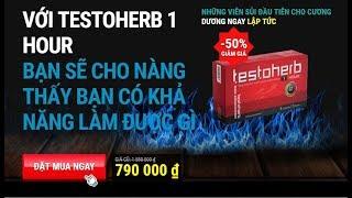 Viên Tăng Cường Sinh Lý Testoherb 1 Hour Tác Dụng Trong Bao Lâu? Cách Sử Dụng?