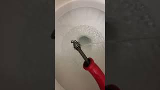 When the customer tells you they never flush anything they’re not supposed to