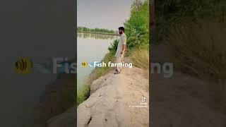 Fish farming is best profitable business