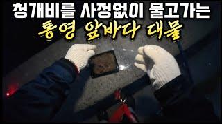 초보도 대물을 잡을 수 있는 쉬운 낚시 / 미끼는 지렁이면 됩니다  지금이 가장 맛있습니다 강추 (With 청이님) / 자급자족 원투낚시 / 자급자족 먹방