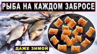 Насадка для рыбалки на КАРАСЯ, ЛЕЩА, ПЛОТВУ, КАРПА. РАБОТАЕТ КРУГЛЫЙ ГОД.