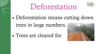 Essay on Deforestation | 10 Lines on Deforestation #deforestation #learnenglish #reforestation#viral