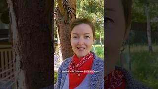 Системные причины супружеской измены
