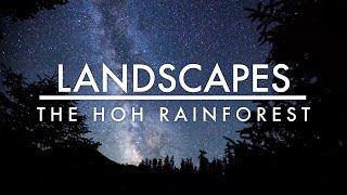 Landscapes | The Hoh Rainforest