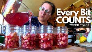 Weekly Food Preservation On Our Homestead! | Every Bit Counts Challenge Week Two