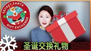 【Regina】我的圣诞礼物大分享！！！SECRET SANTA | 北美YOUTUBER匿名礼物互换大行动