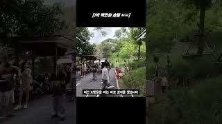 3박에 천만원 초호화 태국 호텔