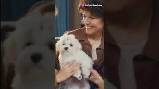 Pawsitive Vibes from Inspiring Pups!