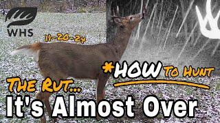 When The Rut Ends How To Hunt | It's Over!?