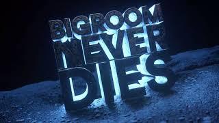 Hardwell & Blasterjaxx feat. Mitch Crown - Bigroom Never Dies (Visual Video)