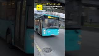 Автобус ЛиАЗ-5292.67 по 267 маршруту! #транспорт #спб #топ #автобус @Nevsky_Transport