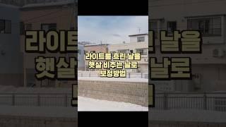 라이트룸 흐린날을 햇살비추는 날로 색감 보정