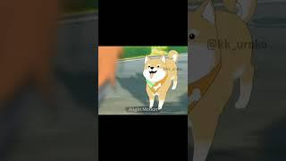 Down boy trend, but with a literal dog || ft. Akito Shinonome & Shibao || Project sekai || #shorts