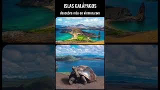 Las Islas Galápagos, paraíso de Ecuador