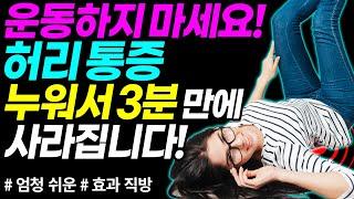 3분만에 누워서 허리통증 없애는 방법 | 허리통증, 긴장성 허리통증| 이교수의 힐링가이드|