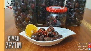 Baştan Sona Bütün Aşamalarıyla Siyah Zeytin Nasıl Yapılır  Ustadan Al Tarifi