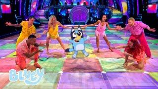 Bluey takes to the Strictly Come Dancing Dancefloor for BBC Children in Need | Bluey