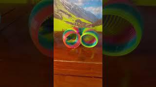 Bird Training : Smart lovebird Parrot | Smart Little Cute Parrot #training #smartparrot #cute