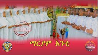 "ማርያም አንቲ አዲስ መዝሙር" ZwT||ዜማ ወጥበብ ዘማኅበረ ቅዱሳን (Official Video)