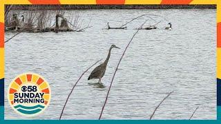 CBS 58 Sunday Morning: Moment in Wisconsin at Trinity Creek Wetland Habitat in Mequon