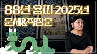 요즘 제일 핫한 88년생 용띠 운세는? 연애 직업 사업운까지 사주타로 탈탈 털어드림