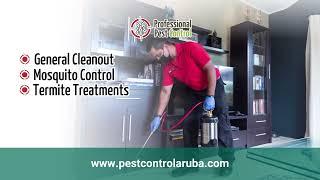 Pests Taking Over Your Home? Get Expert Help: Professional Pest Control!