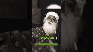 How Sadhguru grace works?