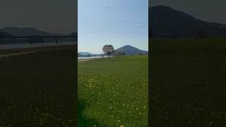 #강문경 #팽이 #좋아요 #구독 #노래잘해요 #shorts