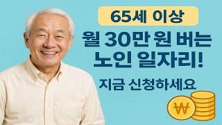 “월 30만 원 버는 노인 일자리! 지금 신청하세요” 65세 이상이면 누구나 도전 가능합니다