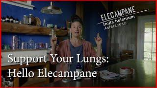 Supporting Lung Health With Elecampane: How to use this powerful herbal remedy.