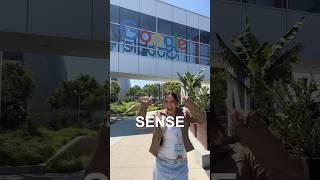 I WENT TO THE GOOGLE HEADQUARTERS