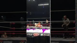 Lucha Libre: Double Dropkick