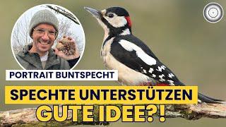 SIND BUNTSPECHTE WICHTIG??? Was hat das mit HONIGBIENEN und FLEDERMÄUSEN zu tun???