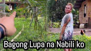 Bagong Lupa na nabili ko..