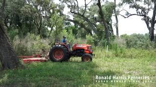 Ronald Harris Ferneries - FGFF Farmer Spotlight