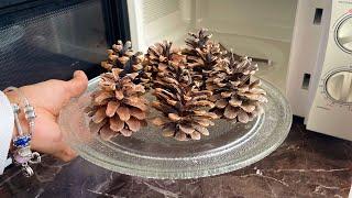 Amazing Idea!   Look What I Did With Pine Cones!