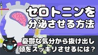 【気分が沈みがちな方へ】セロトニンを増やしメンタルの不調を改善する方法