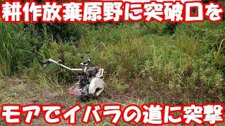 ウイングモアで耕作放棄原野に道を作る。