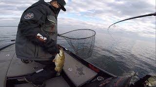 Fishing Giant Swimbaits For Giant Bass - Best Big Smallmouth Day!