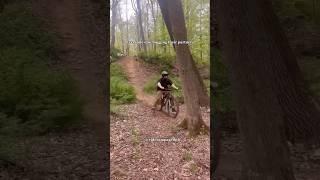 I hug trees instead #mtb