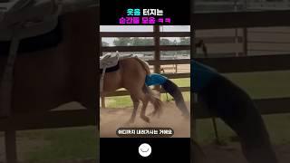 웃음 터지는 순간들 모음 15탄