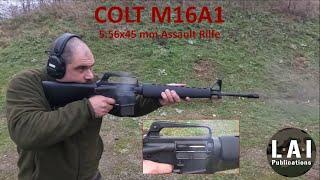 M16A1 : at the shooting range (with slow motion)