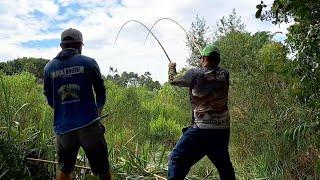 TRAÍRA GIGANTE , OS PEIXE ESTAVAM LOUCOS , TILAPIA E TRAÍRA NA VARA DE BAMBU./PESCARIA RAIZ.