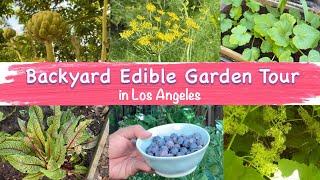 BACKYARD EDIBLE GARDEN TOUR - May 2023