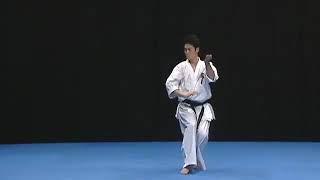 wko shinkyokushinkai karate seiha kata