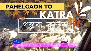 পর্ব ১১। গন্তব্য কাটরা। বৈষ্ণোদেবী। Ep 11 । Gontobyo Katra । Vaishno Devi